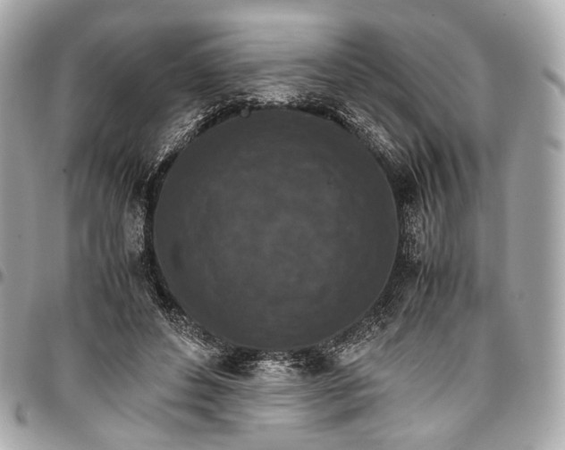 X0000096980496200802221438