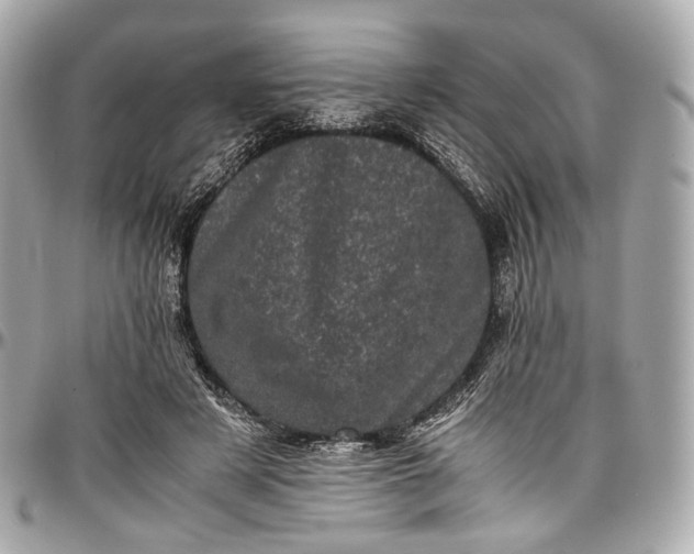 X0000096980497200802221438