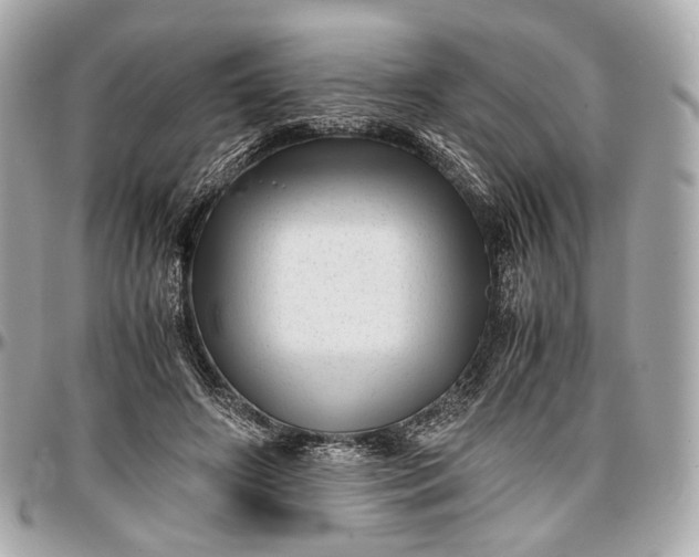 X0000096980498200802221438