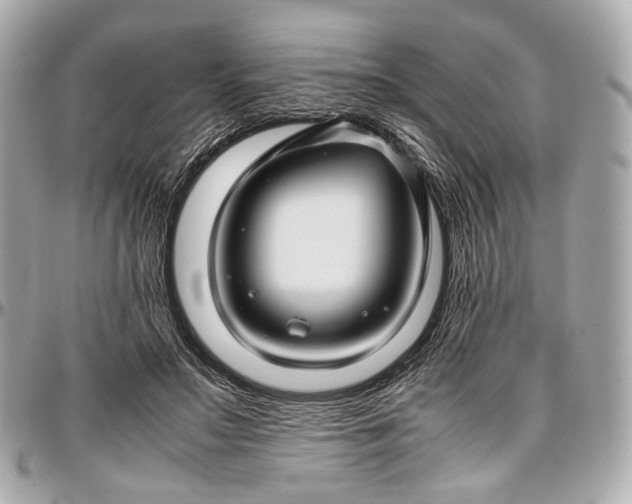 X0000096980499200802221438