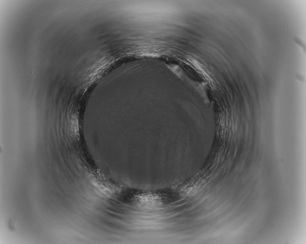 X0000096980500200802221438