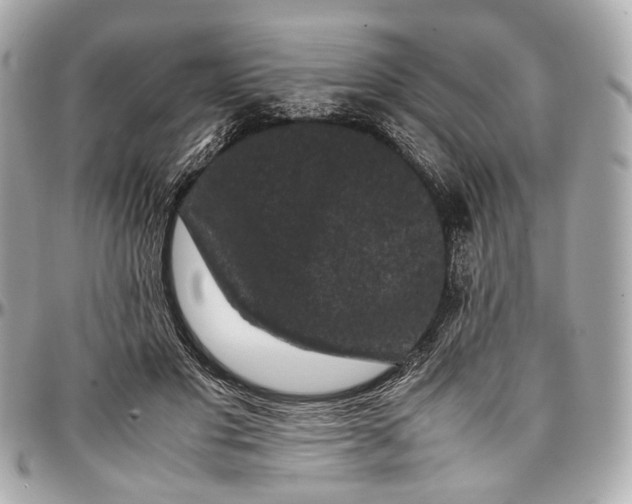 X0000096980501200802221438