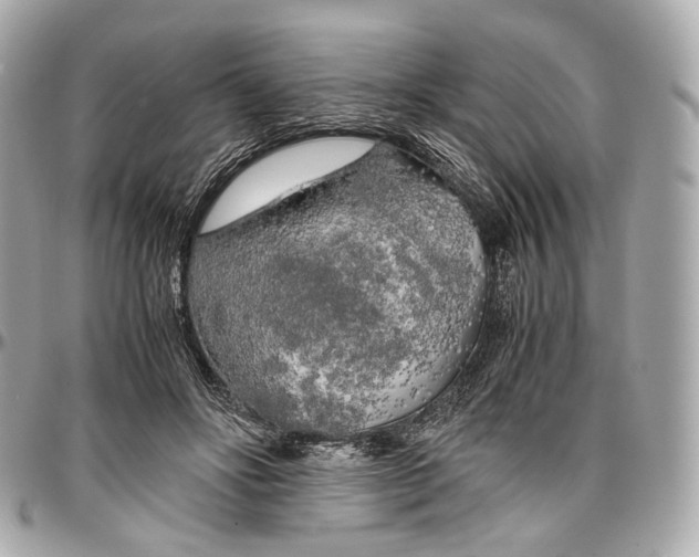 X0000096980502200802221437