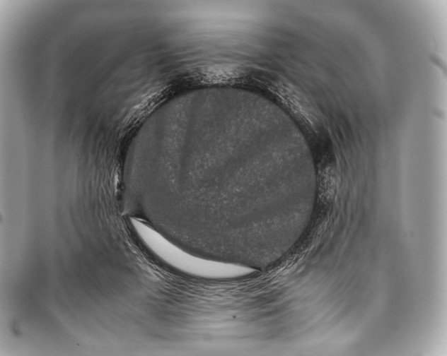 X0000096980505200802221437