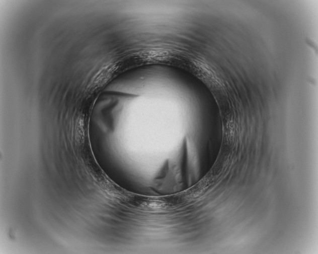 X0000096980506200802221437