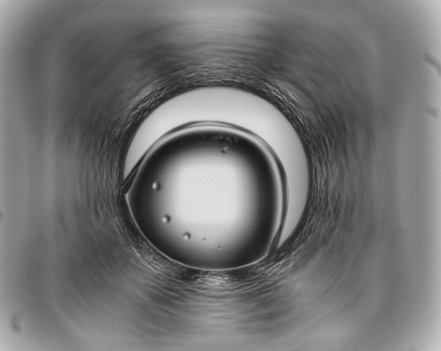 X0000096980507200802221437