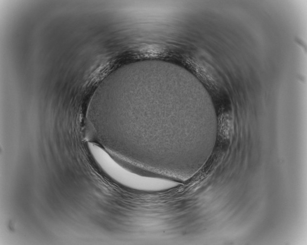 X0000096980509200802221437