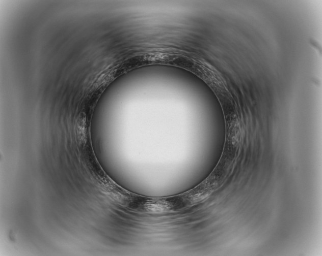 X0000096980510200802221437