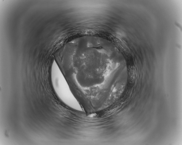 X0000096980511200802221437