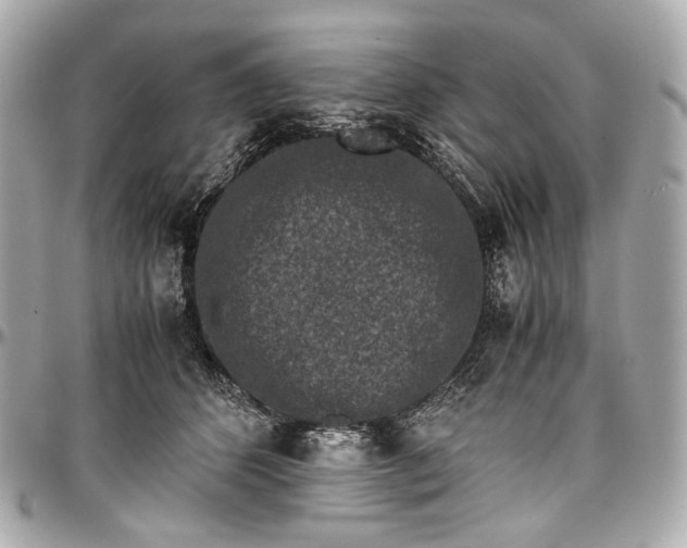 X0000096980512200802221437