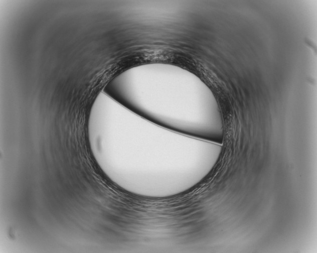 X0000096980513200802221437