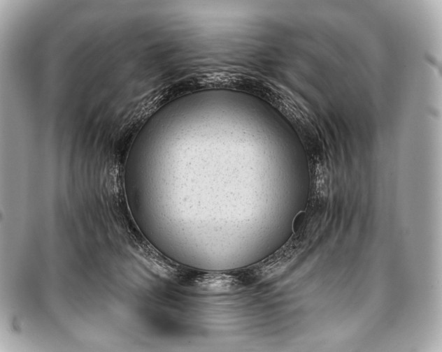 X0000096980514200802221437