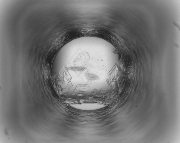 X0000096980515200802221437