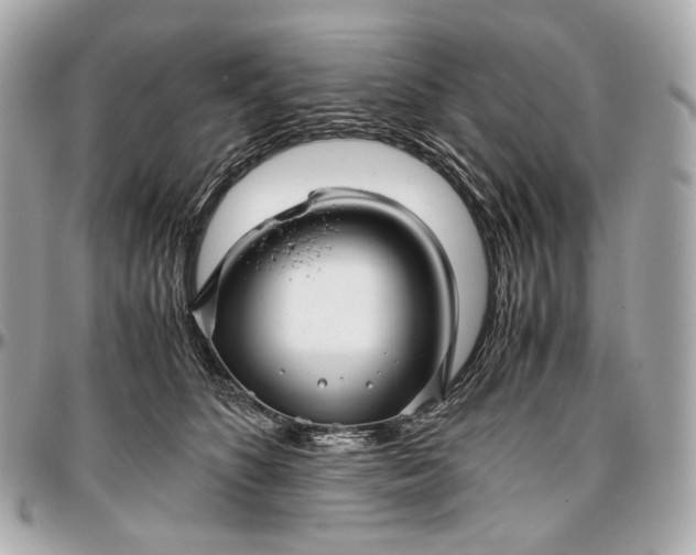 X0000096980516200802221437