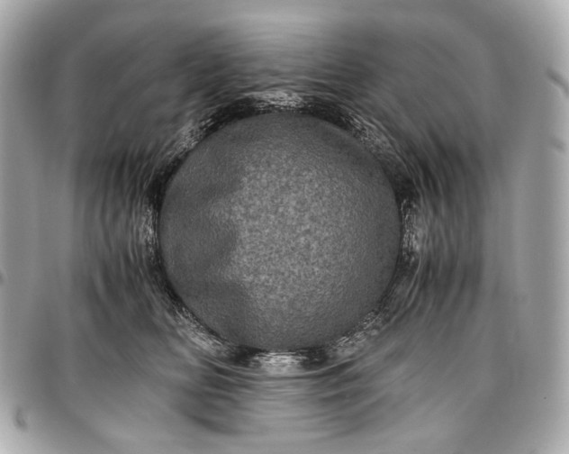 X0000096980518200802221437