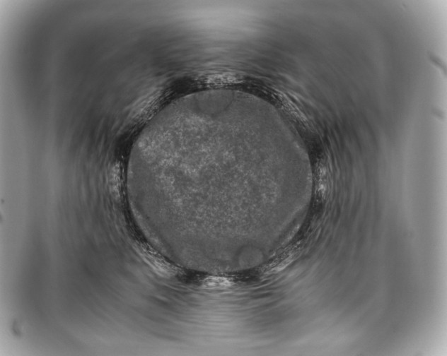 X0000096980519200802221437