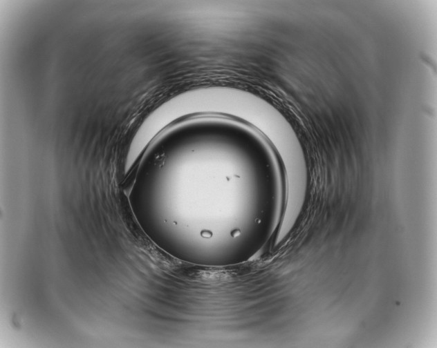 X0000096980520200802221437