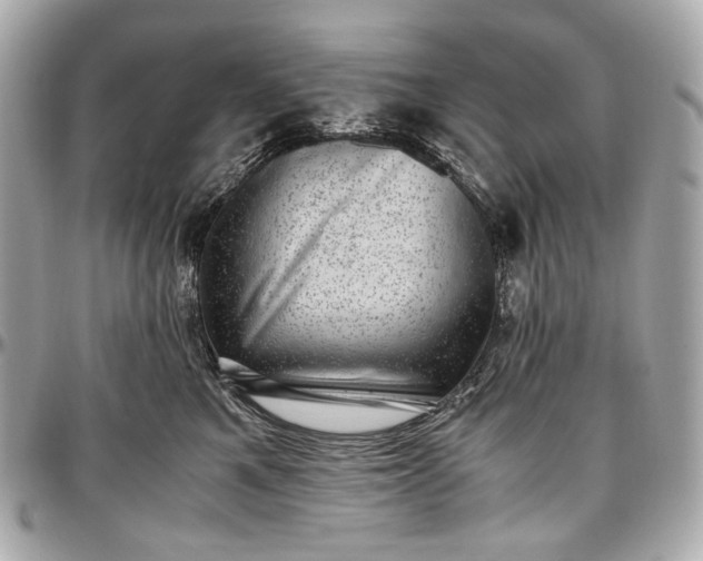 X0000096980521200802221437