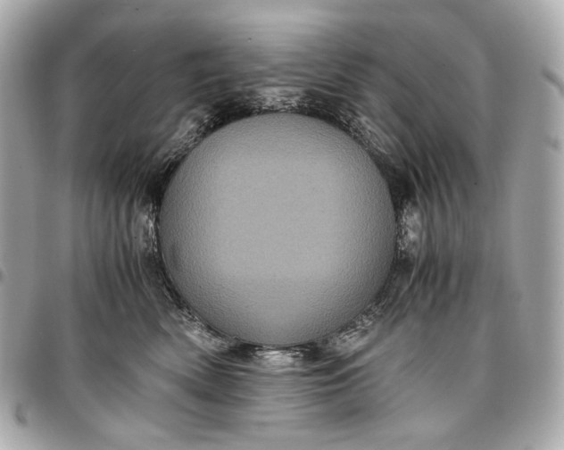 X0000096980522200802221437