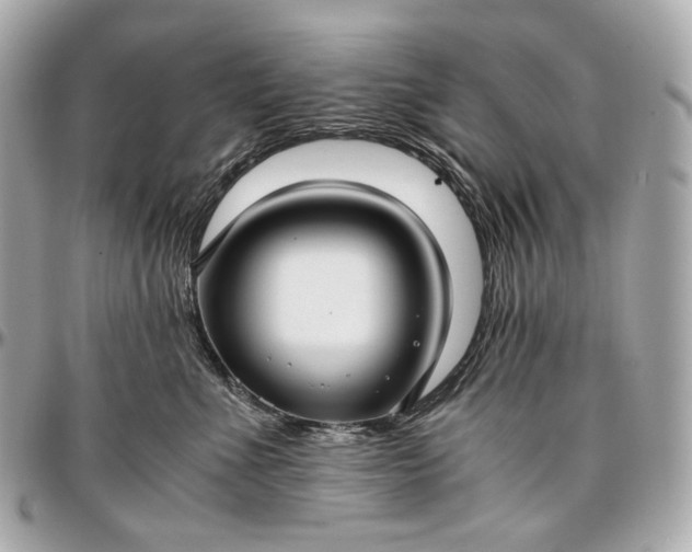 X0000096980523200802221437