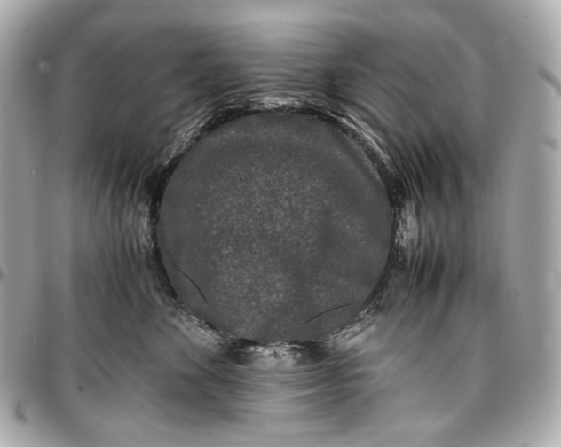 X0000096980524200802221437