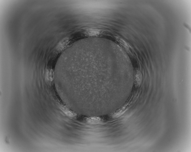 X0000096980525200802221437