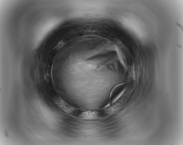 X0000096980526200802221437