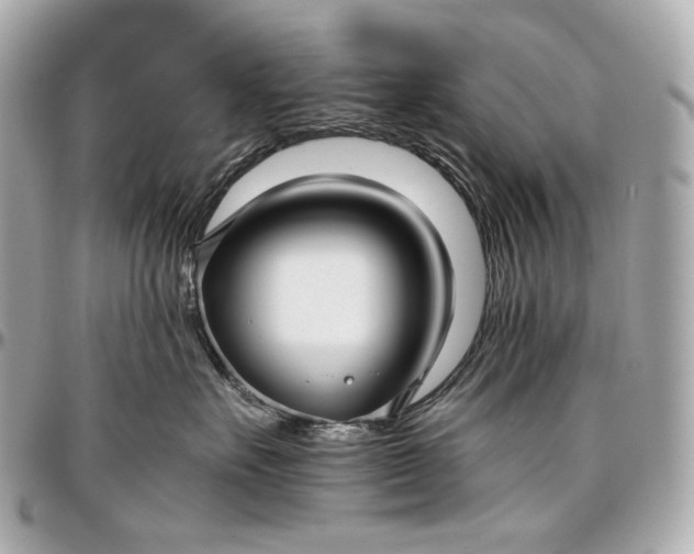 X0000096980527200802221437