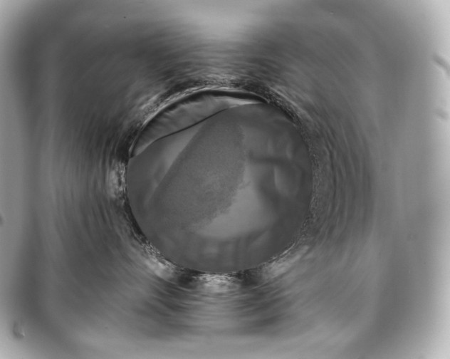 X0000096980528200802221437