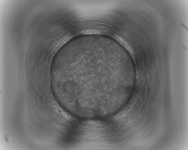 X0000096980529200802221436