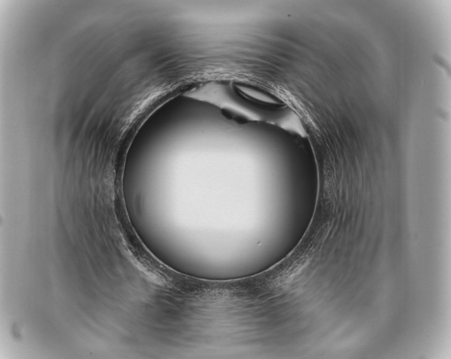 X0000096980530200802221436