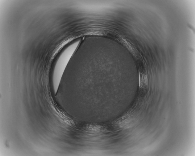 X0000096980531200802221436