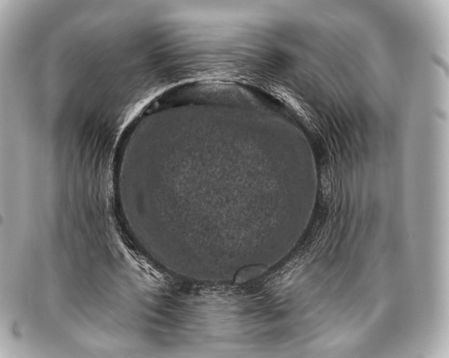 X0000096980532200802221436