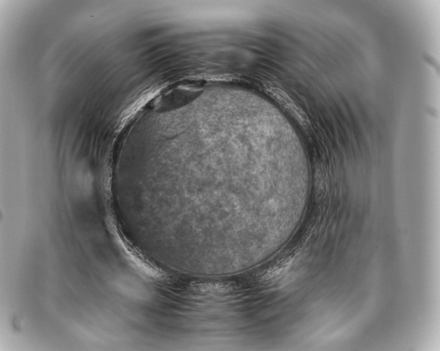 X0000096980533200802221436