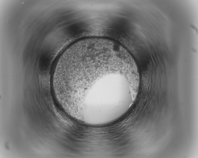 X0000096980534200802221436