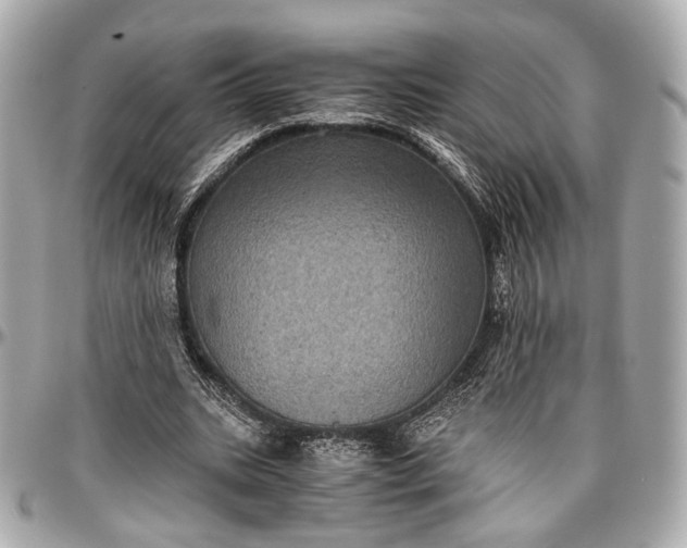 X0000096980535200802221436