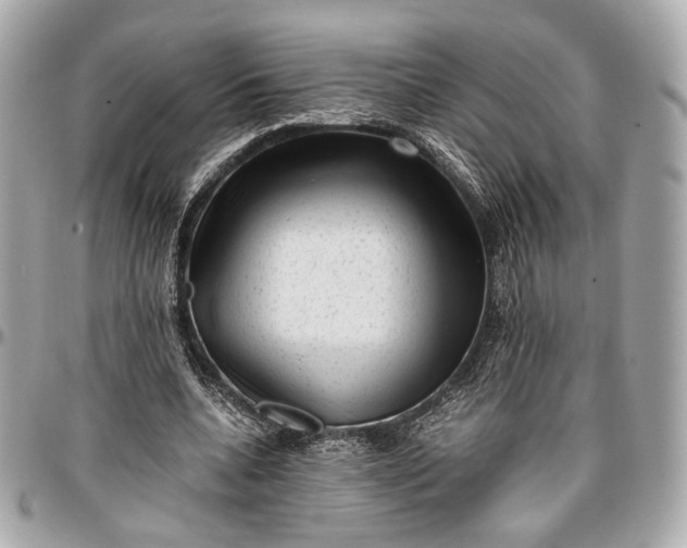 X0000096980536200802221436