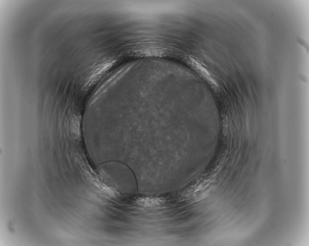 X0000096980537200802221436