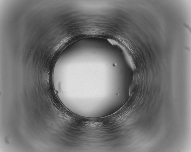 X0000096980539200802221436