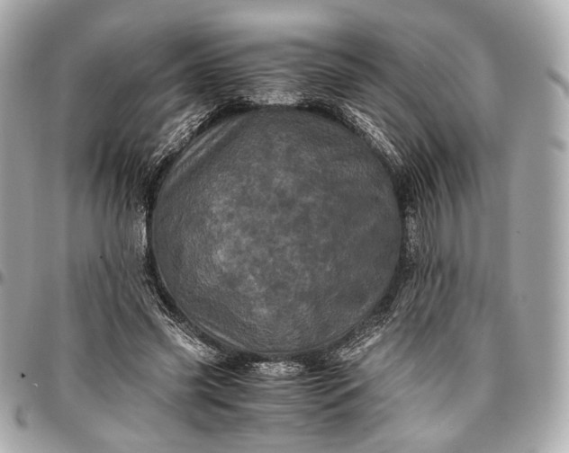 X0000096980541200802221436