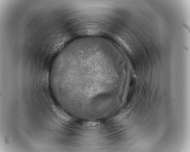 X0000096980542200802221436