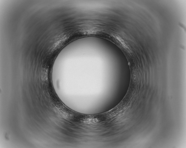 X0000096980543200802221437