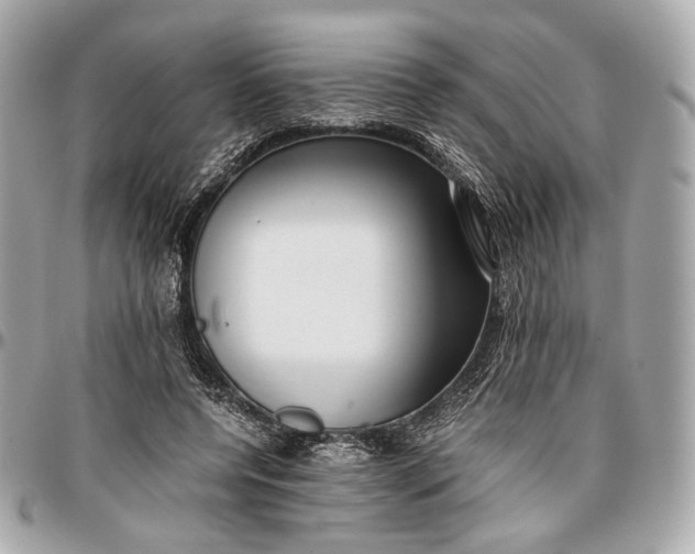 X0000096980544200802221437