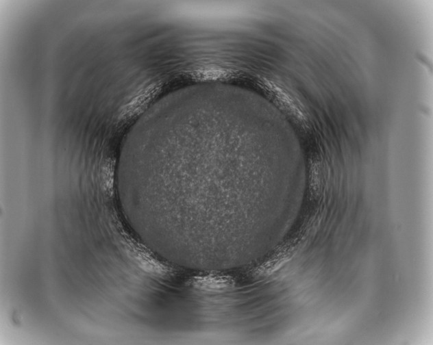 X0000096980545200802221437