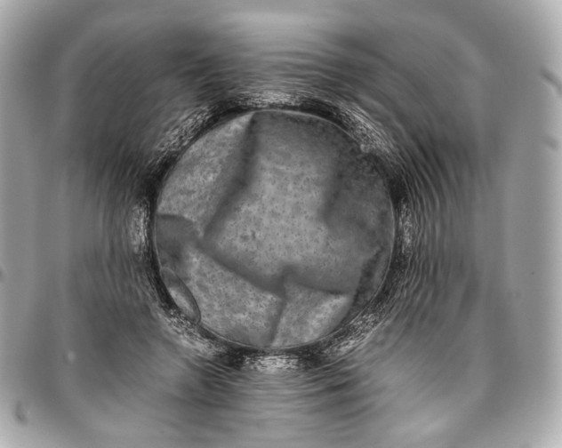 X0000096980546200802221437