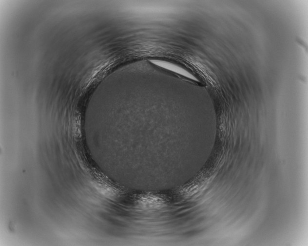 X0000096980547200802221437