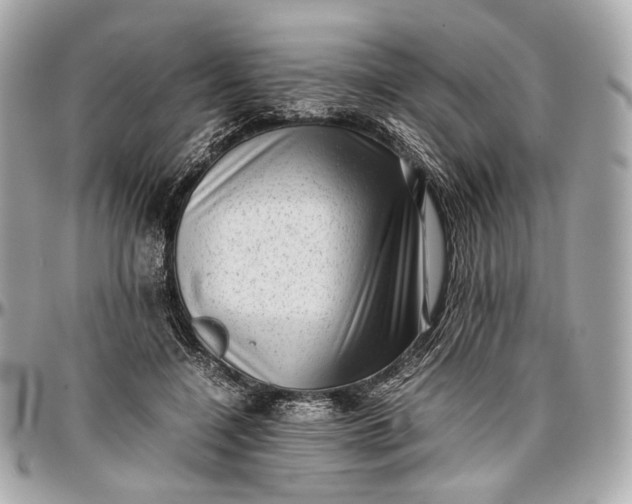 X0000096980548200802221437