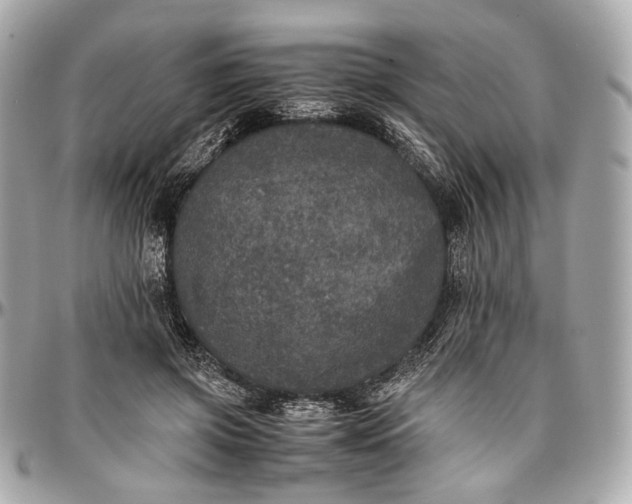 X0000096980549200802221437