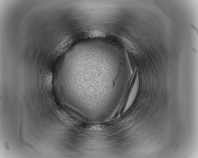 X0000096980550200802221437