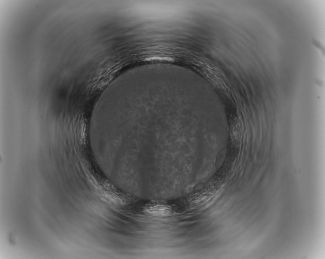 X0000096980551200802221437